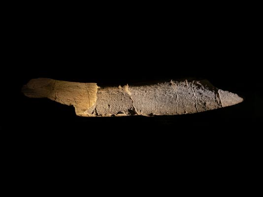 Graviertes Elefantenschienbein - Bilzingsleben 2018 / Fotografie / Auflage 10 + 2 AP<br />(Die parallelen Ritzungen auf dem Knochen sind der lteste Beleg symbolhaften Ausdrucks. Welche Bedeutung sie haben, wissen wir nicht)<br />