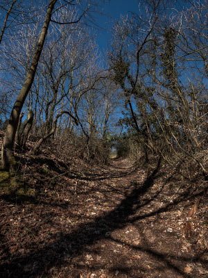 Blutrinne im Winter 2018 / Fotografie / Auflage 10 + 2 AP<br />(Die Grafen brachen eine vereinbarte Waffenruhe und berrumpelten die schlecht organisierten Bauern, die in Richtung der Stadt flohen. In einem Hohlweg wuede viele von ihnen niedergemetzelt.)