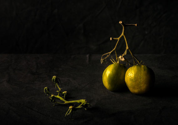 Grne Tomaten 2018 / Fotografie / Auflage 7 Stck + 2 AP