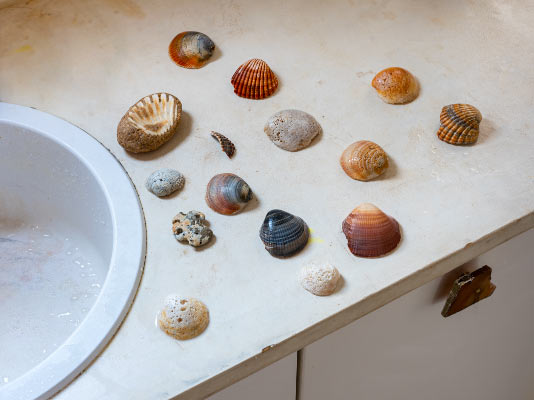 Ohne Titel (Muschelsammlung) 2018 / Fotografie / Auflage 7 Stck + 2 AP
